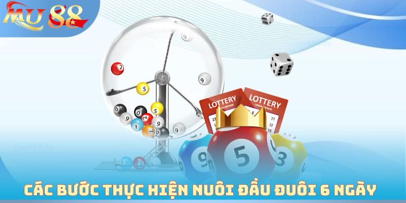 Các bước thực hiện nuôi đầu đuôi 6 ngày 