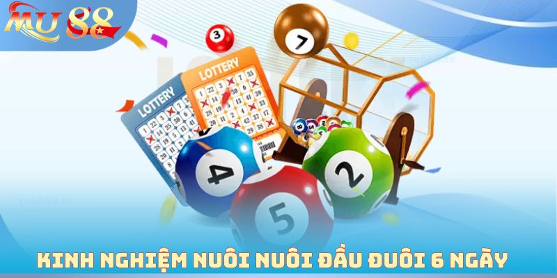 Kinh nghiệm nuôi nuôi đầu đuôi 6 ngày 