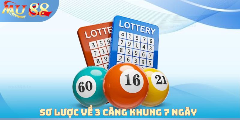 Sơ lược về 3 càng khung 7 ngày